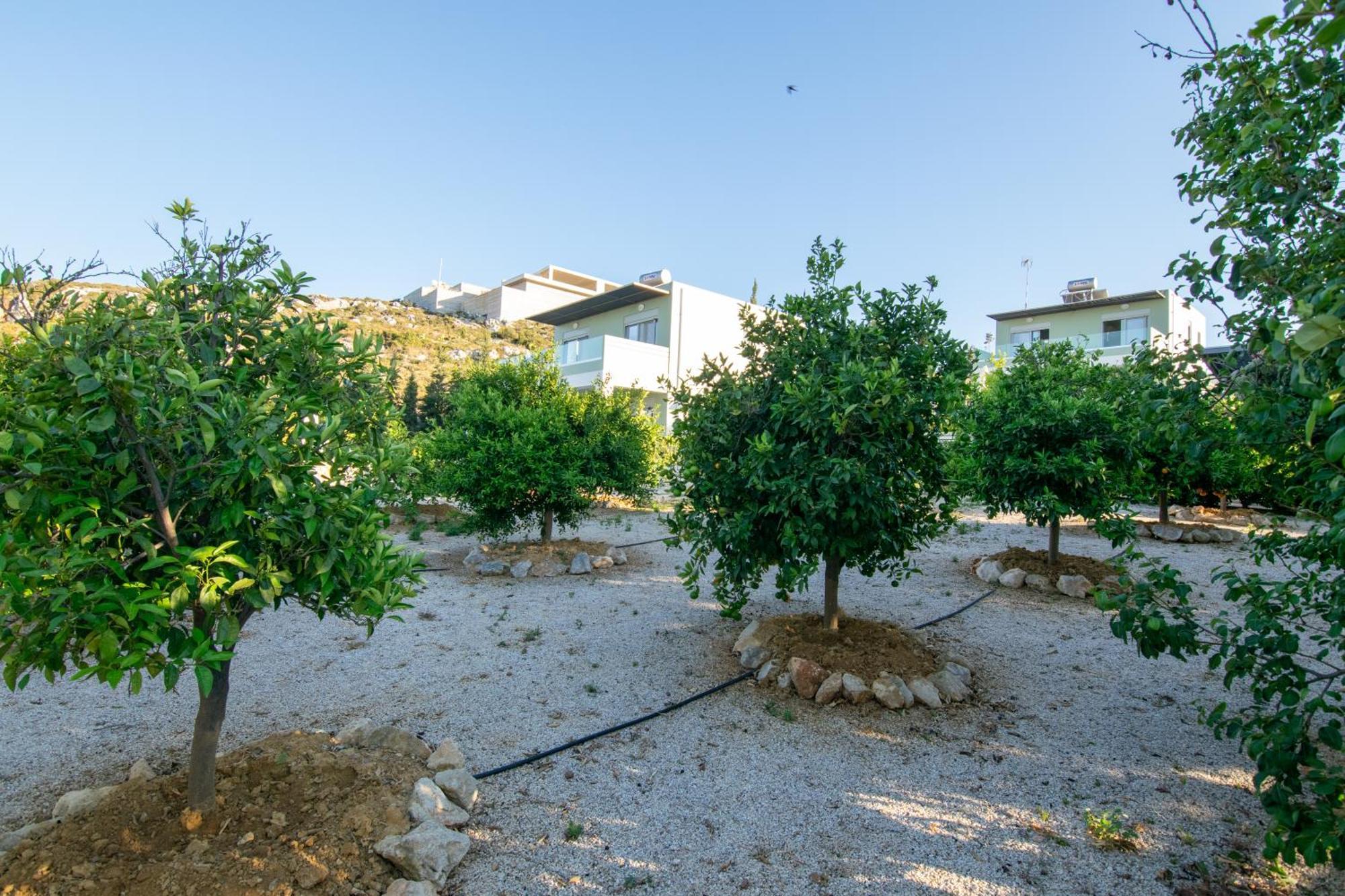 Κatakis Villas Agios Onoufrios Ngoại thất bức ảnh