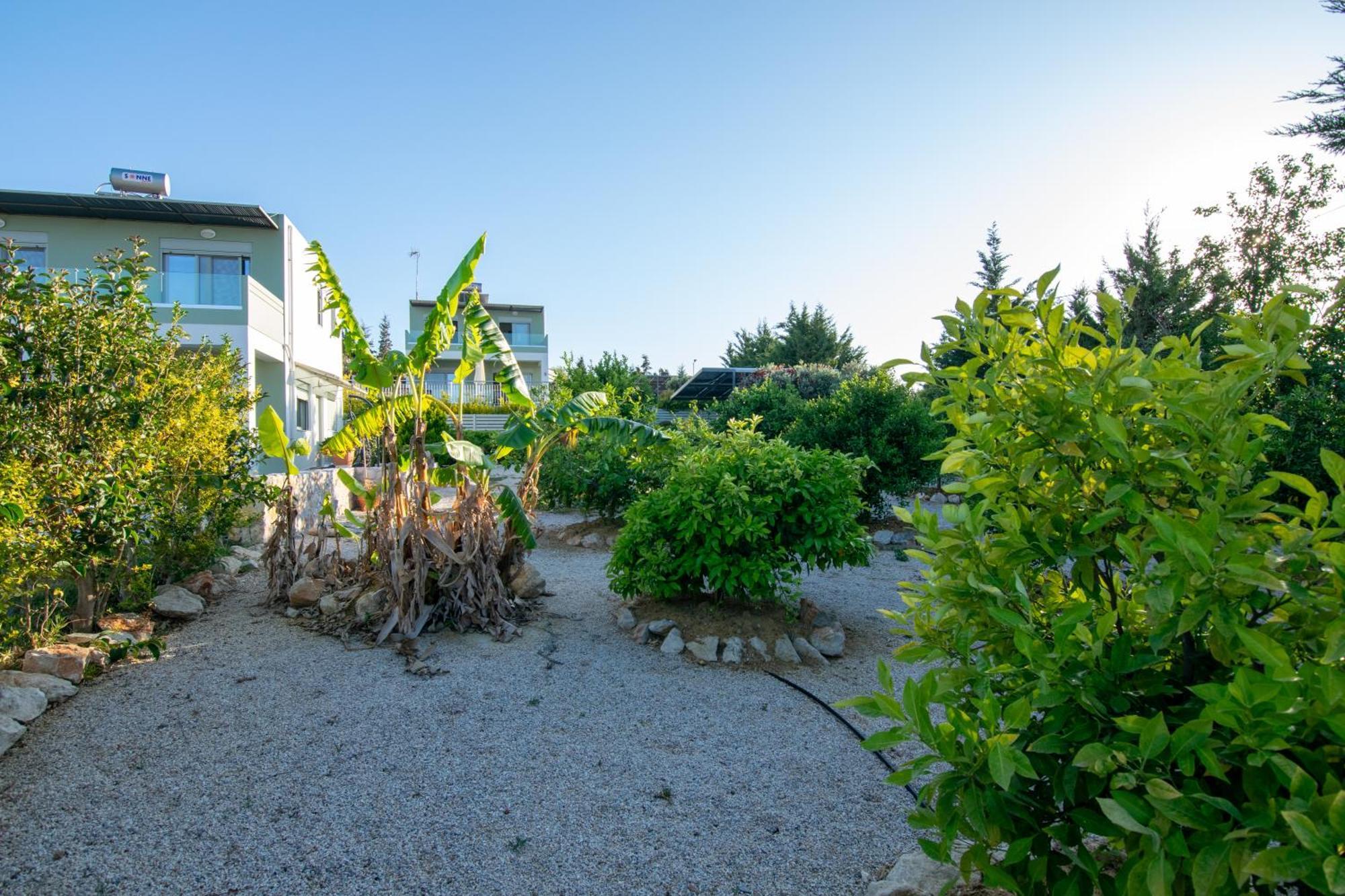Κatakis Villas Agios Onoufrios Ngoại thất bức ảnh