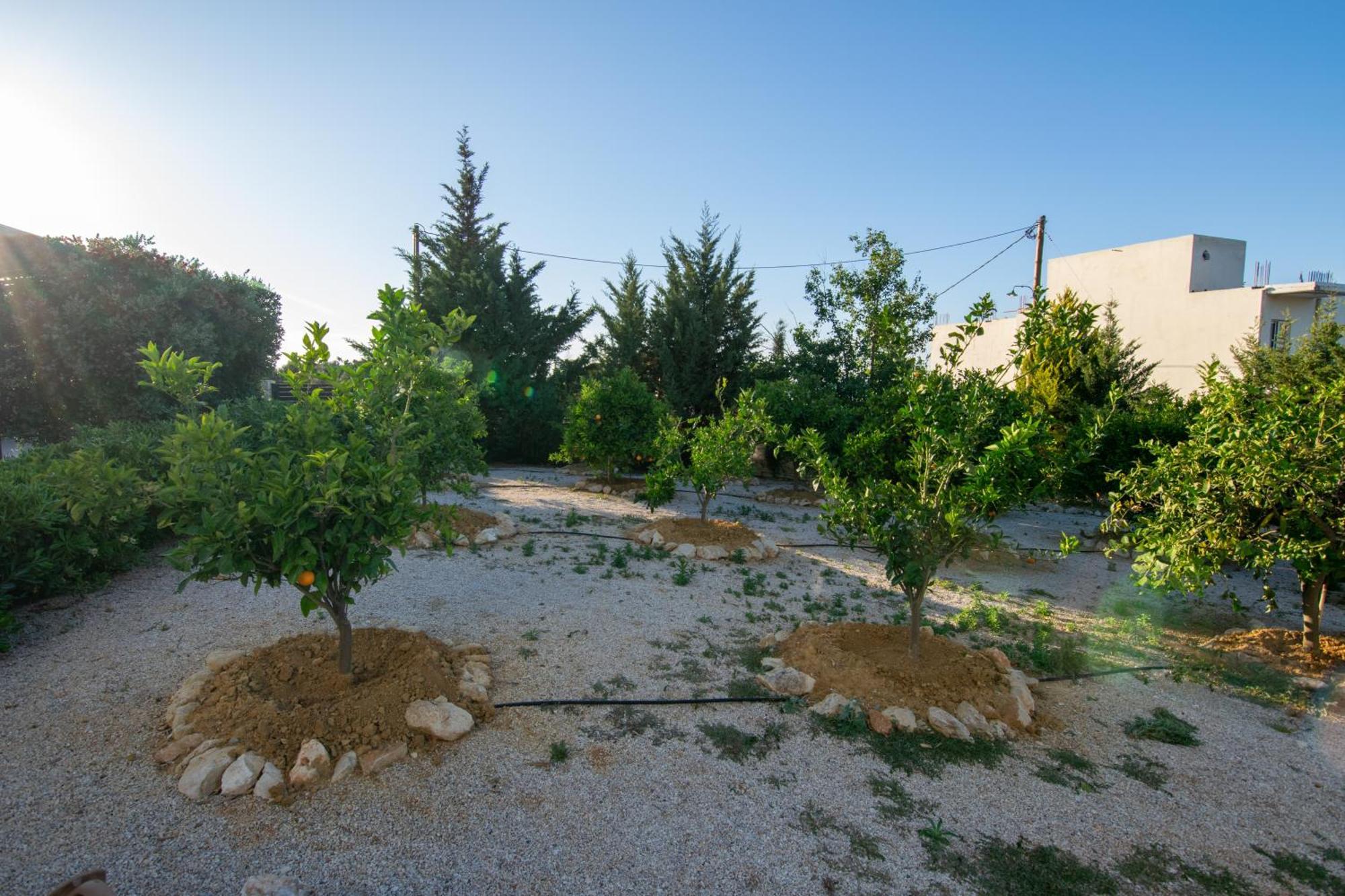 Κatakis Villas Agios Onoufrios Ngoại thất bức ảnh