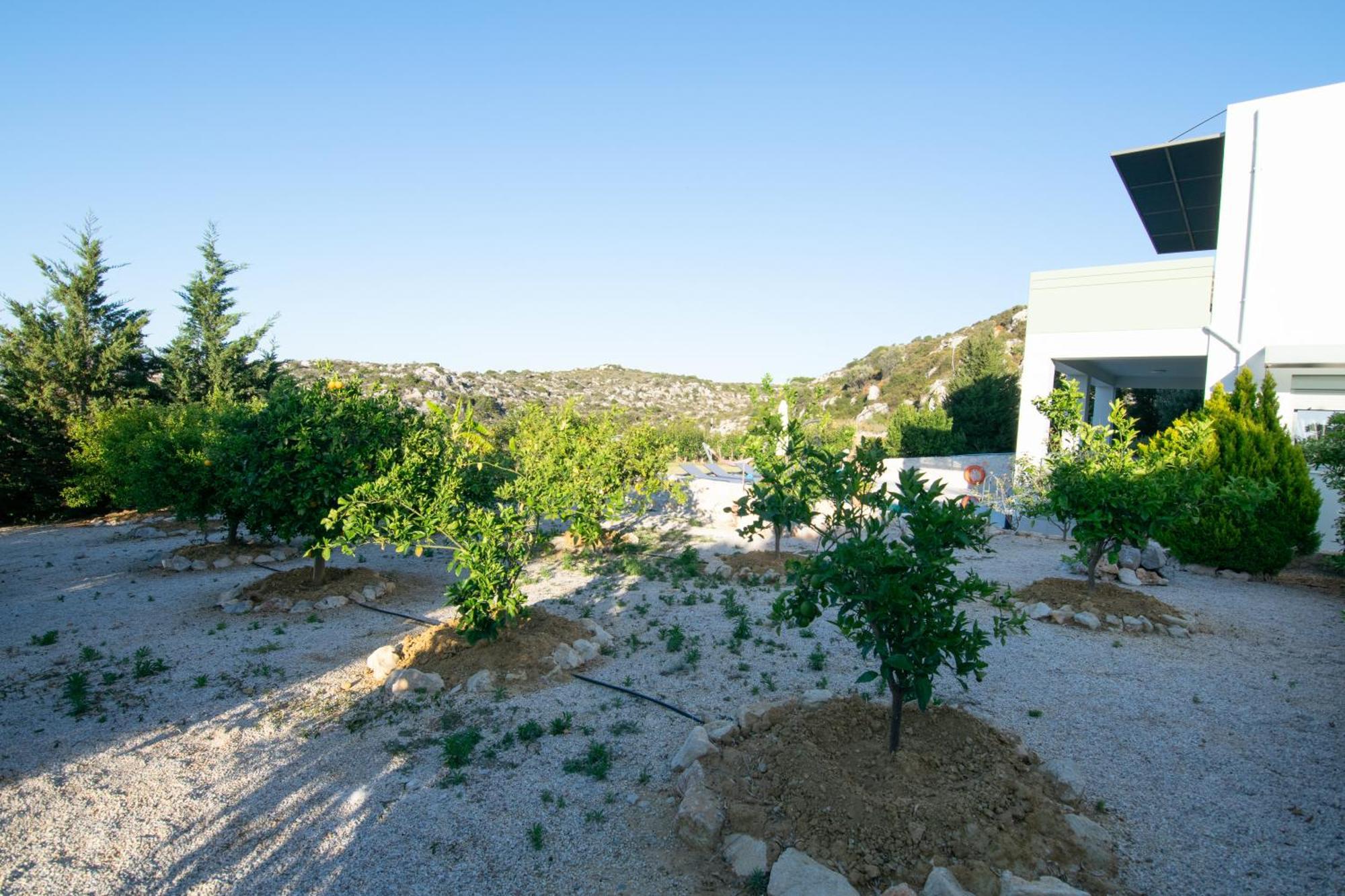 Κatakis Villas Agios Onoufrios Ngoại thất bức ảnh