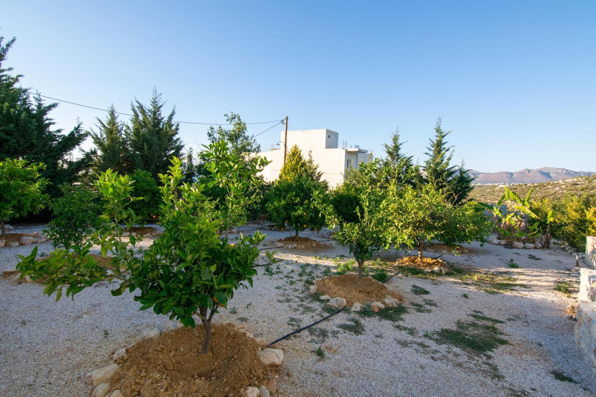 Κatakis Villas Agios Onoufrios Ngoại thất bức ảnh