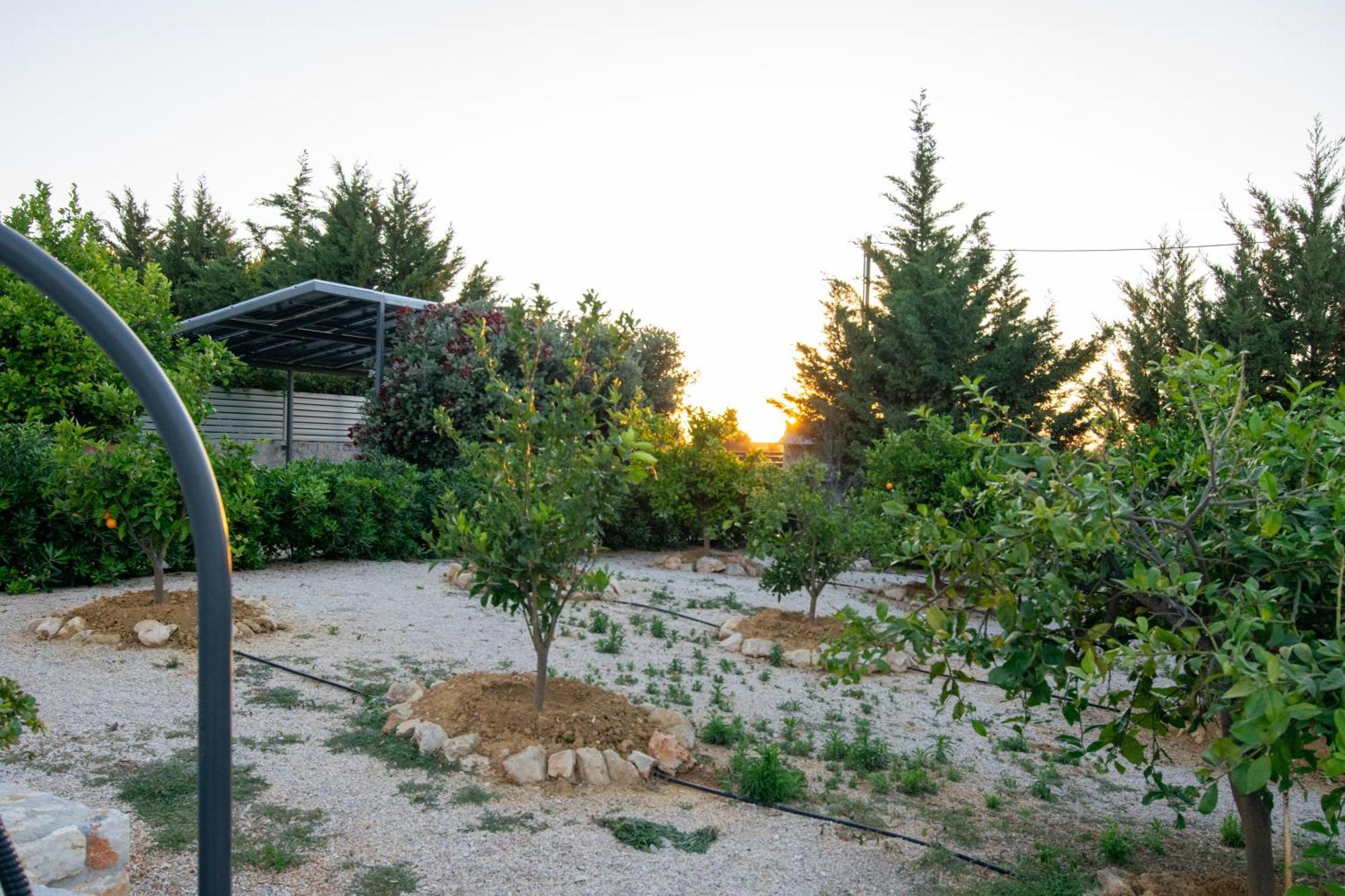 Κatakis Villas Agios Onoufrios Ngoại thất bức ảnh