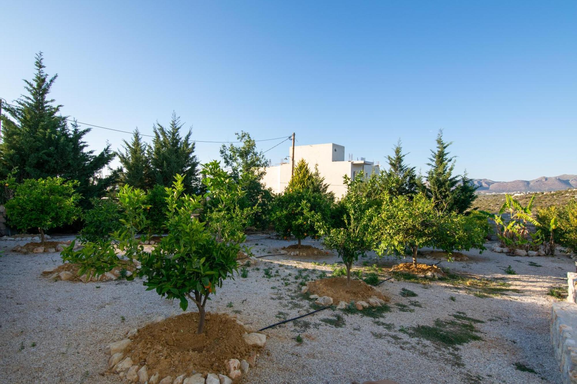 Κatakis Villas Agios Onoufrios Ngoại thất bức ảnh